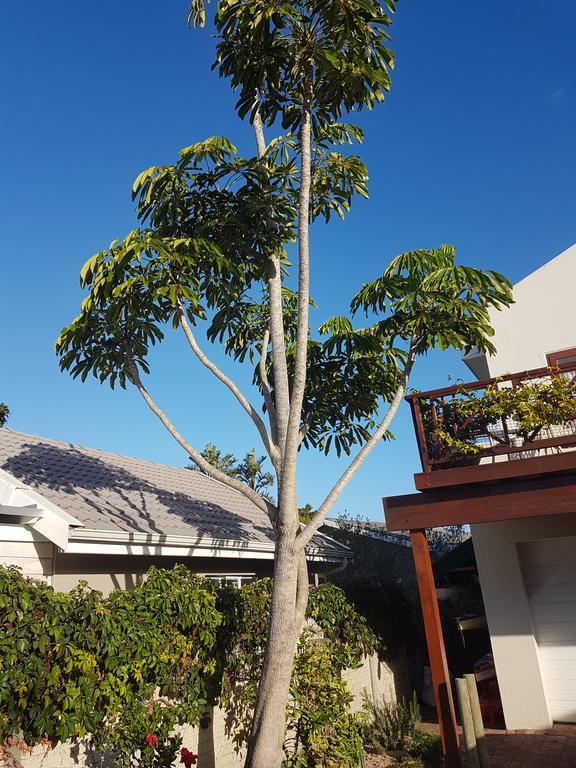 Founders Keepers - Leisure Isle Knysna Exterior foto